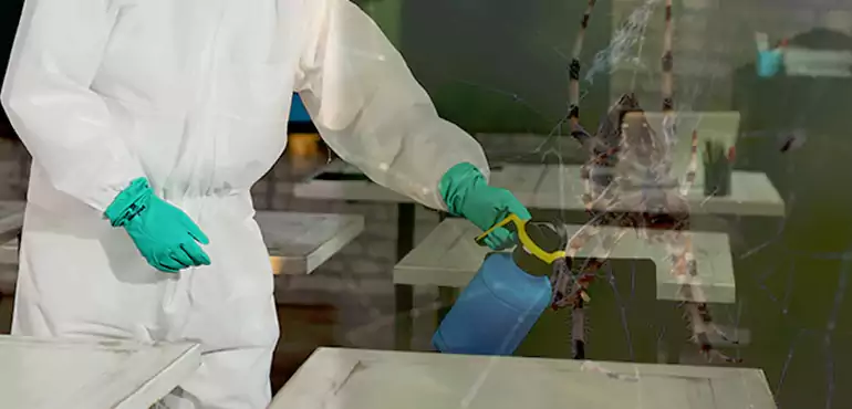 Why Buyers Still Want Homes With Pest Infestations in Newport East, RI?