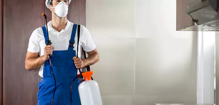 Why Newport East Homeowners Choose Us When Pests Make Selling Difficult