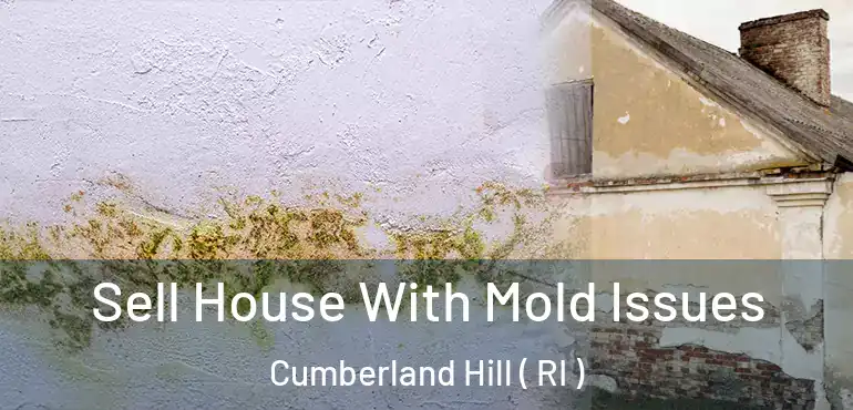 Sell House With Mold Issues Cumberland Hill ( RI )