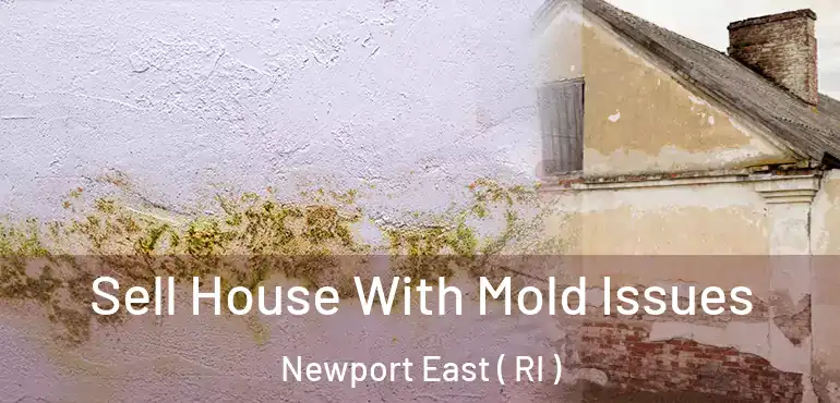 Sell House With Mold Issues Newport East ( RI )