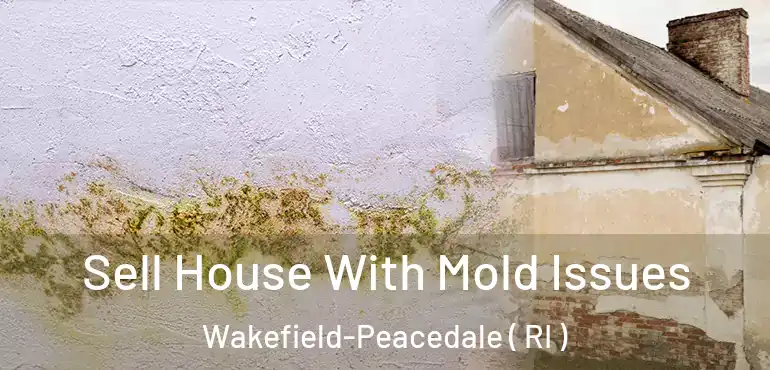 Sell House With Mold Issues Wakefield-Peacedale ( RI )