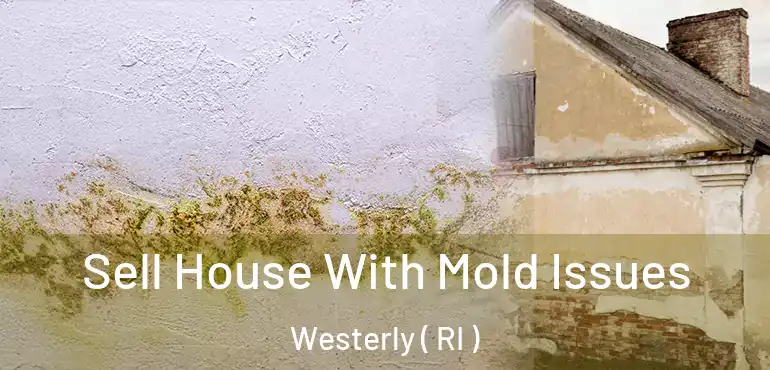 Sell House With Mold Issues Westerly ( RI )